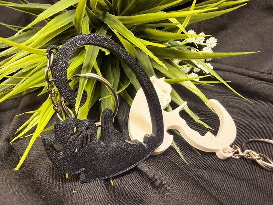 Pārītis kaķu sirds