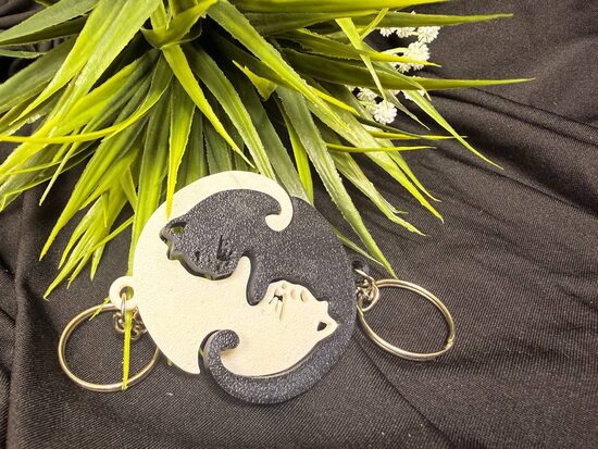 Pārītis kaķu aplis